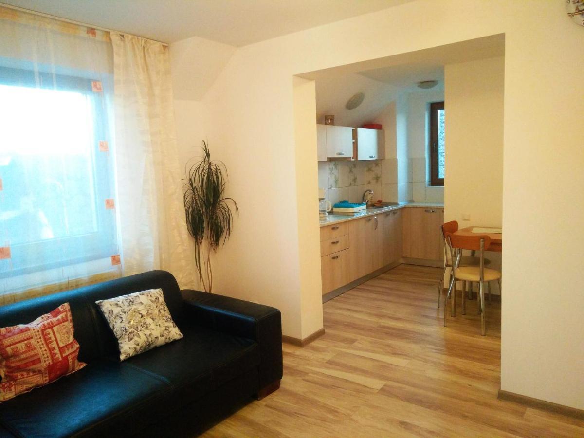 Smb Holiday Apartment 브라쇼브 외부 사진